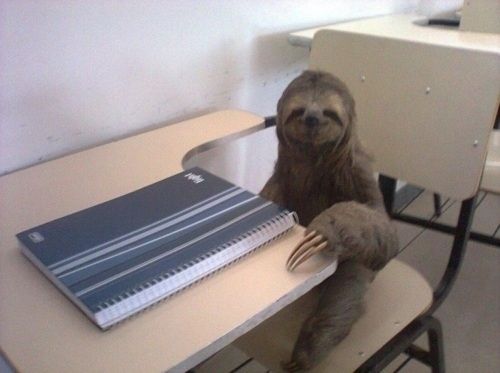  photo sloth school_zpsamayziyn.jpg