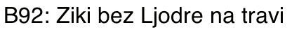 ScreenShot2012-06-04at232216.png