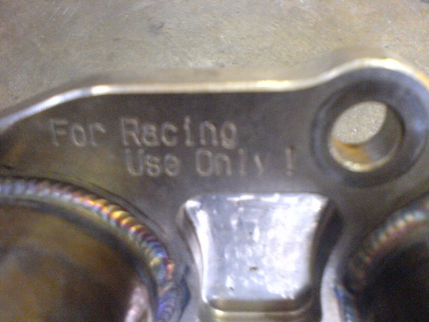 DSC01006.jpg