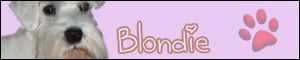 blondie1.jpg