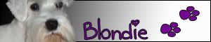blondie4.jpg