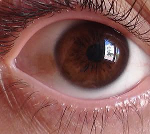 ojo2.jpg