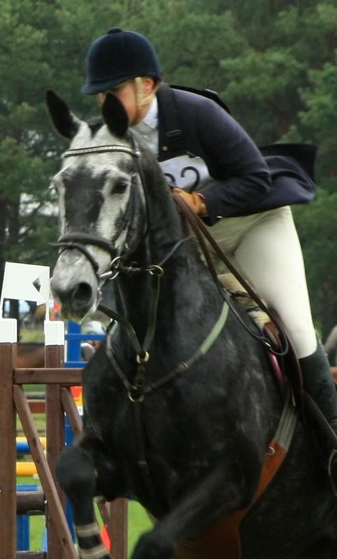 20100515003.jpg