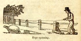 photo rope3.jpg