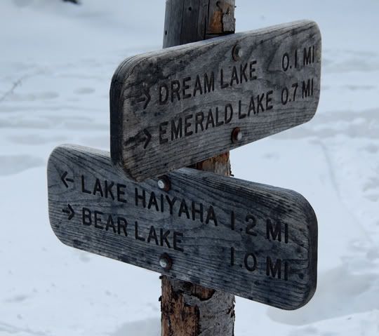 lily lake rmnp