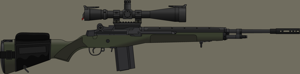 M14DMR.png