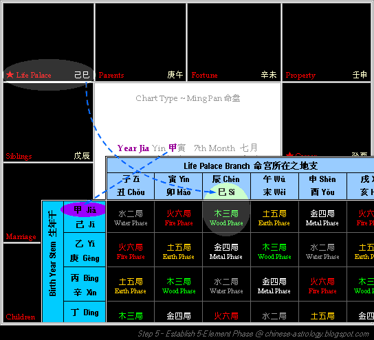 Step 5 - Establish Element