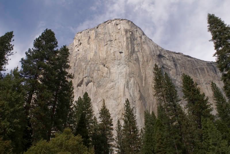 USA - New York y Costa Oeste - Blogs de USA - Dia 12 - Yosemite (5)