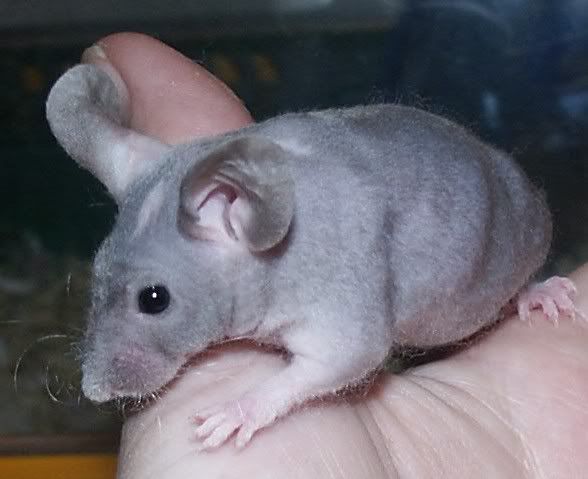 aMrb0012.jpg