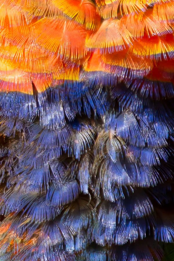 IMAGE: http://i20.photobucket.com/albums/b229/Barry_Mundi/IMG_0202-3-Copy.jpg