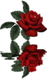 rose animation Pictures, Images and Photos