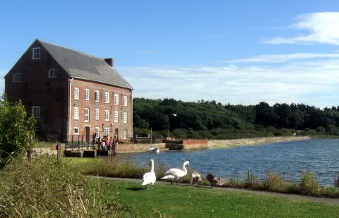 Old Mill, Yarmouth Isle of Wight,Swans