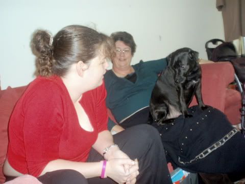 Caelyn,Denim Dog,Sue