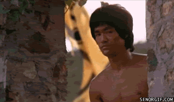 Bruce Lee gif photo: bruce lee 7ad4dfcd.gif