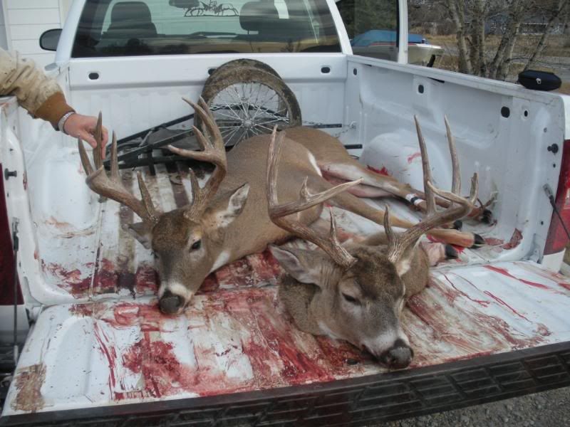 2009Hunting010.jpg