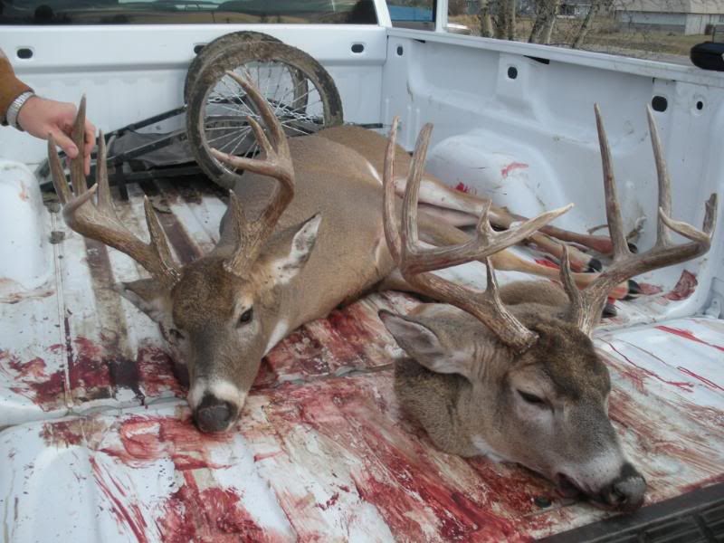 2009Hunting011.jpg