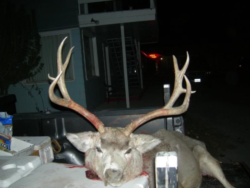 sullys2008buck2.jpg