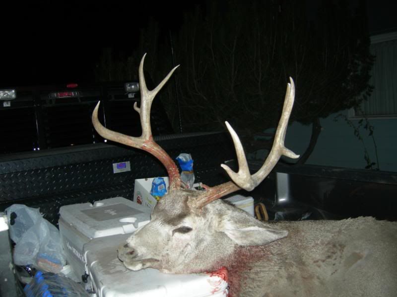 sullys2008buck3.jpg