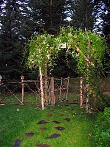 Garden Arbor on Garden Arbor    Stage One   Garden Junk Forum   Gardenweb