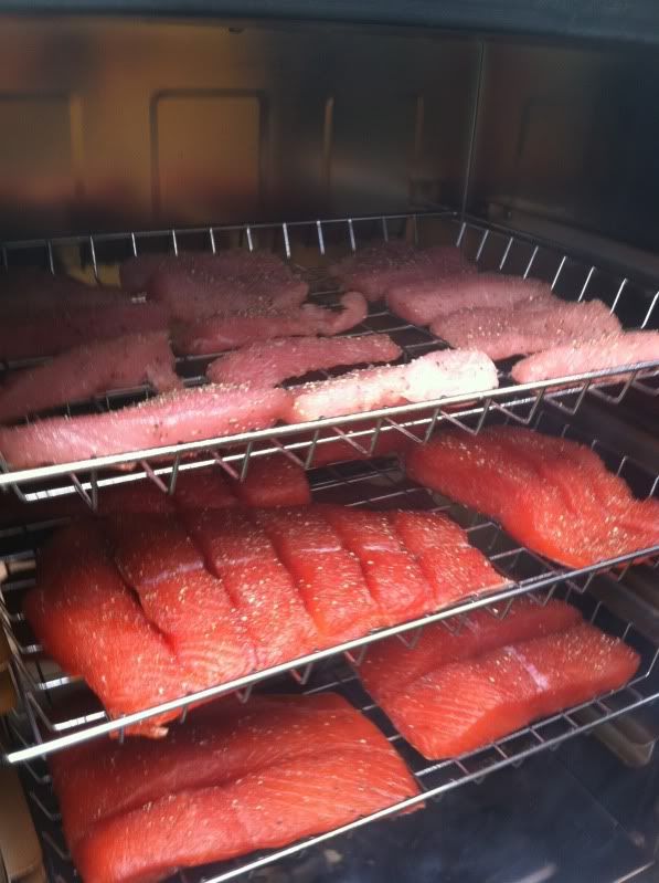 Tuna Belly 101 Bloodydecks