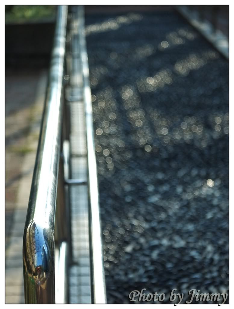 _1010154-1.jpg picture by ckh3hk