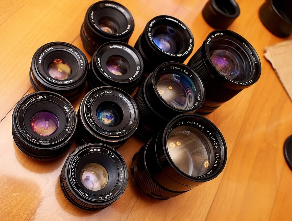 _1040312.jpg picture by ckh3hk