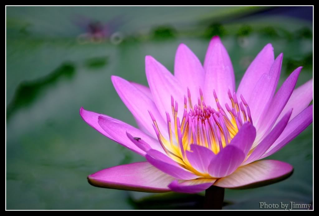 Click here to open new window
CTRL+Mouse wheel to zoom in/out