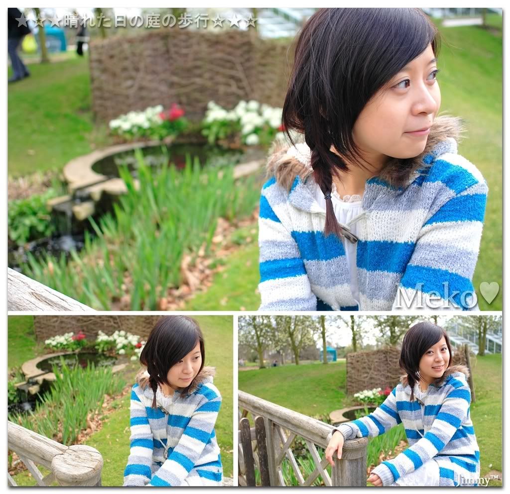 _H3W6500a.jpg picture by ckh3hk