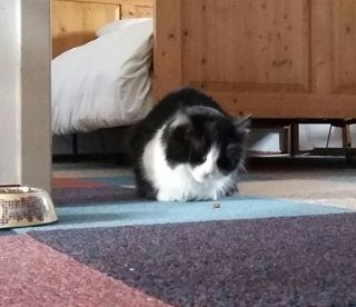 20151127_105927-1.jpg