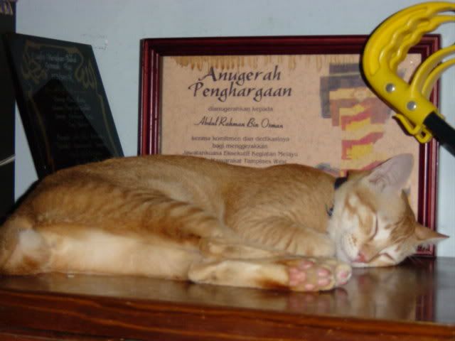 Image hosted by Photobucket.com