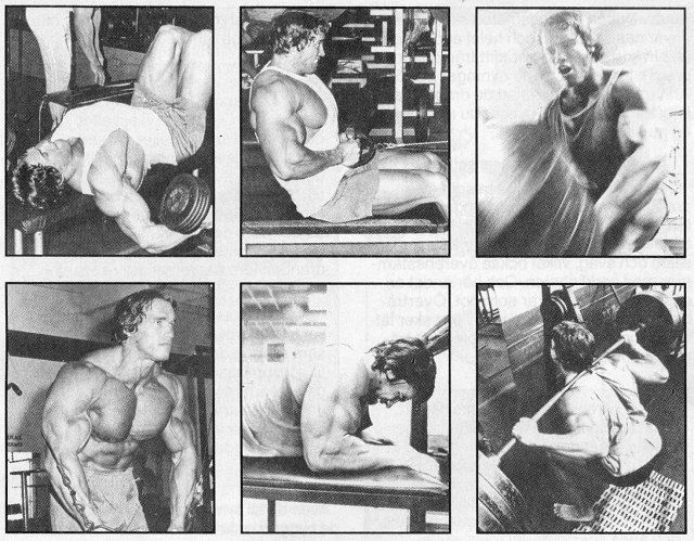 arnold schwarzenegger workout pics. Arnold Schwarzenegger Workout