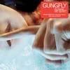 Gungfly - Please Be Quiet