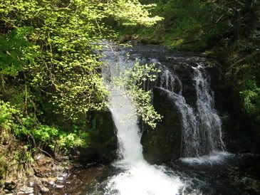 this is the little stream that creates that huge waterfall - so pretty and peaceful