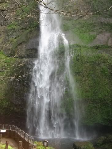 This is the view from the bottom of the falls