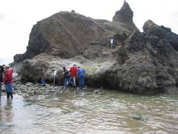 Psome people got caught by suprise when the tide came in quickly