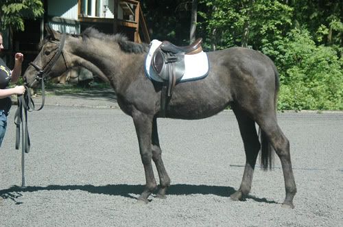 IMAGE(http://i20.photobucket.com/albums/b236/Riddle_Me_This/5cf0f4ec.jpg?t=1280440888)