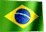 Brazilian Jersey Collector Brazilian Jersey Collector