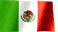 Mexican Jersey Collector Mexican Jersey Collector