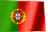 Portugese Jersey Collector Portugese Jersey Collector