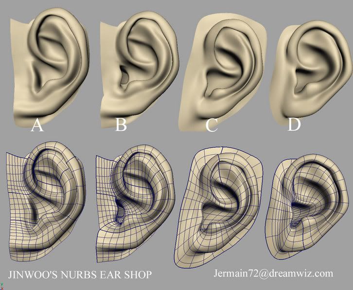 Ears2.jpg