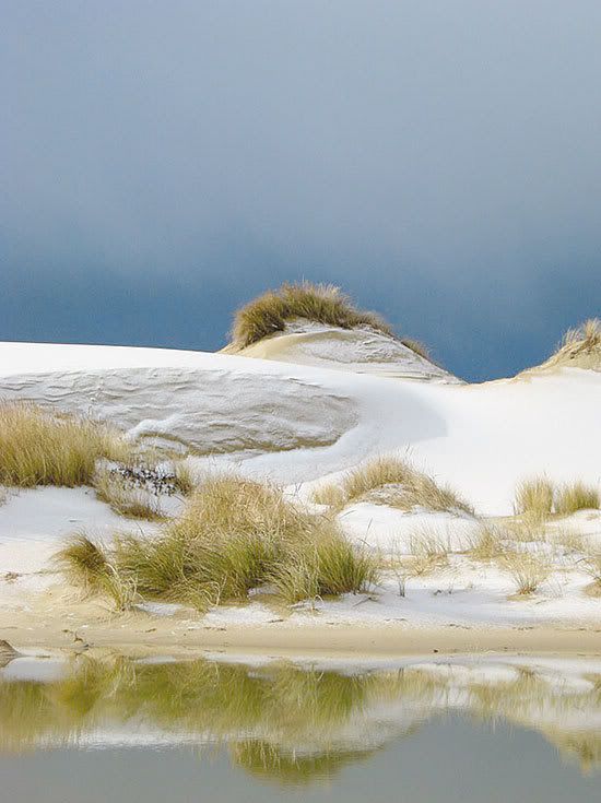 snowdunes.jpg snow at the beach image by myworld_mylife