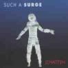 Such A Surge Schatten CD:SINGLE