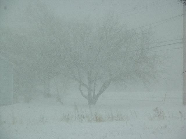 [Image: Dec26-Snowstorm2.jpg]