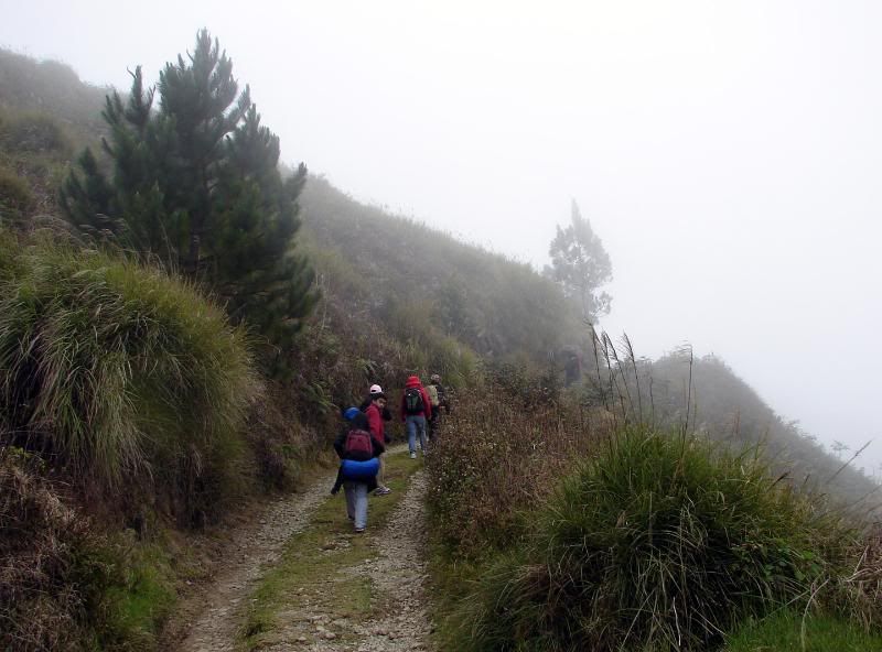 First 30 minutes of the hike.