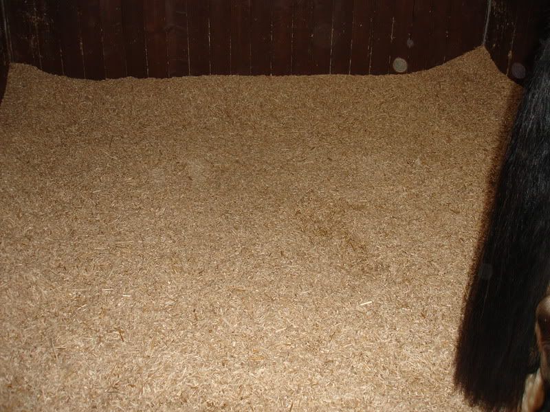 Miscanthus or Elephant Grass as bedding? New Rider Forum