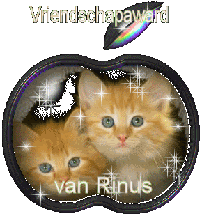 tweerooiepoesjes1.gif picture by Boulebal