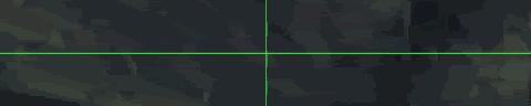 welcometogs.gif