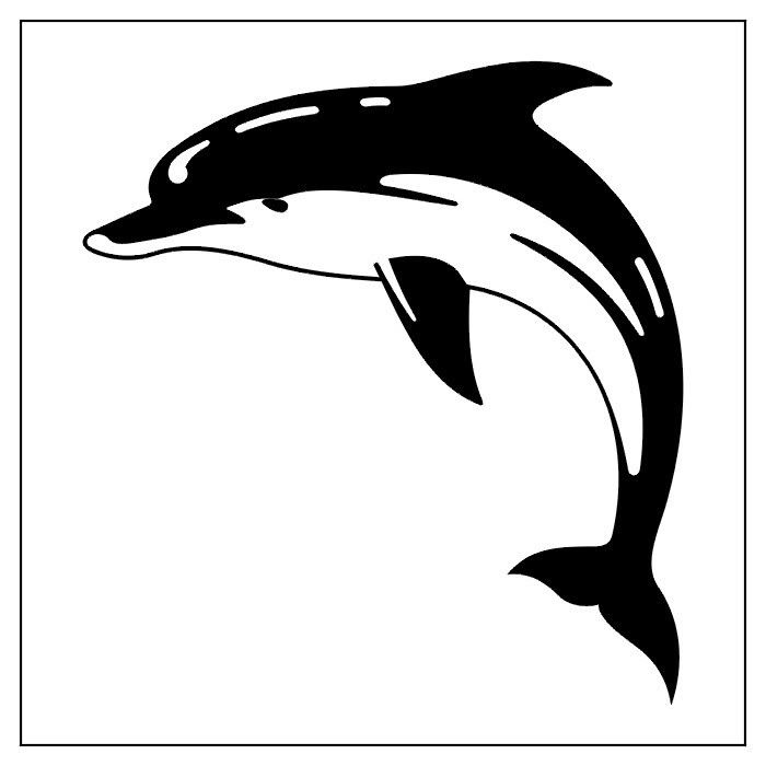 dolphin tattoo 02