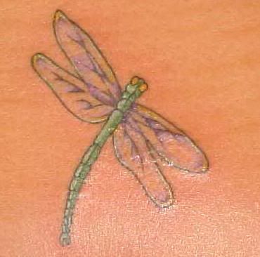 all about image of dragonfly tattoos art design