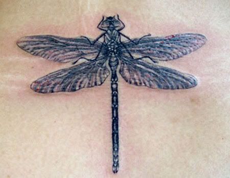 Girls Dragonfly Tattoo Design. Download Full-Size Image | Main Gallery Page